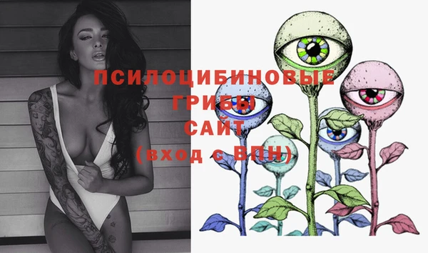 стафф Семёнов