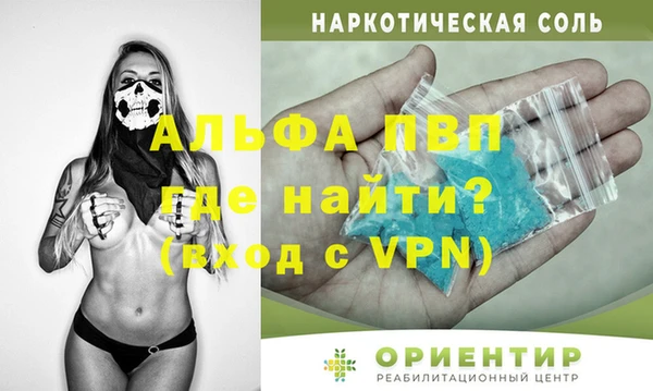 гашик Абаза